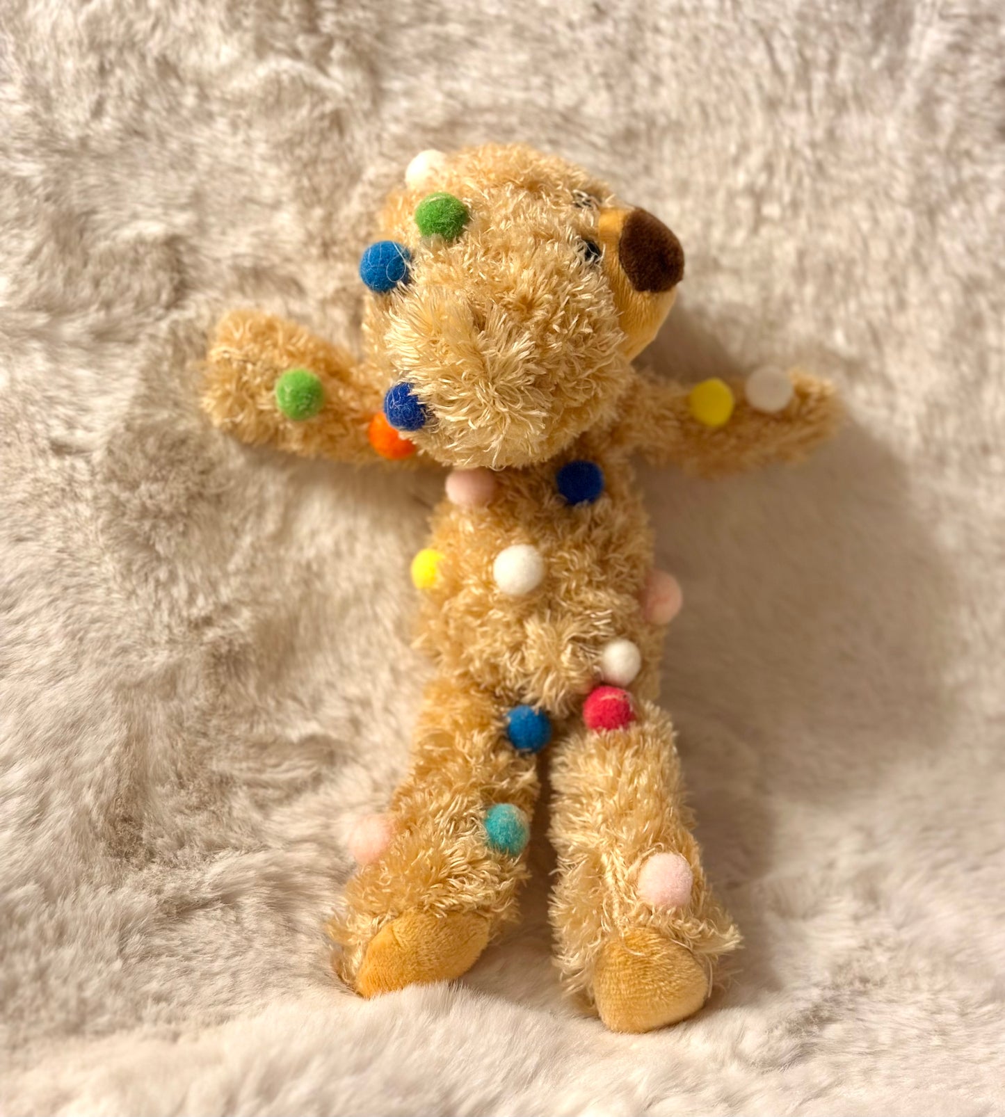 Bubbly Pom Teddy